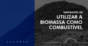 Leia mais sobre o artigo 5 Vantagens do uso da biomassa como combustível