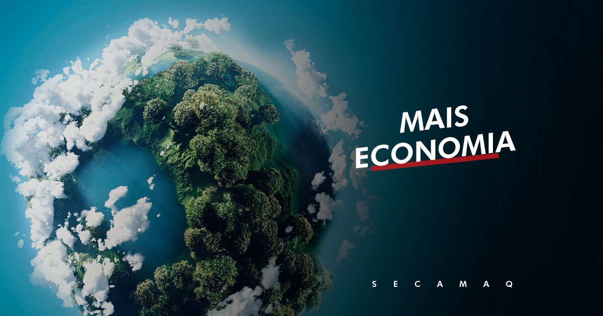 Read more about the article Caldeira a biomassa: mais economia e salvando o planeta