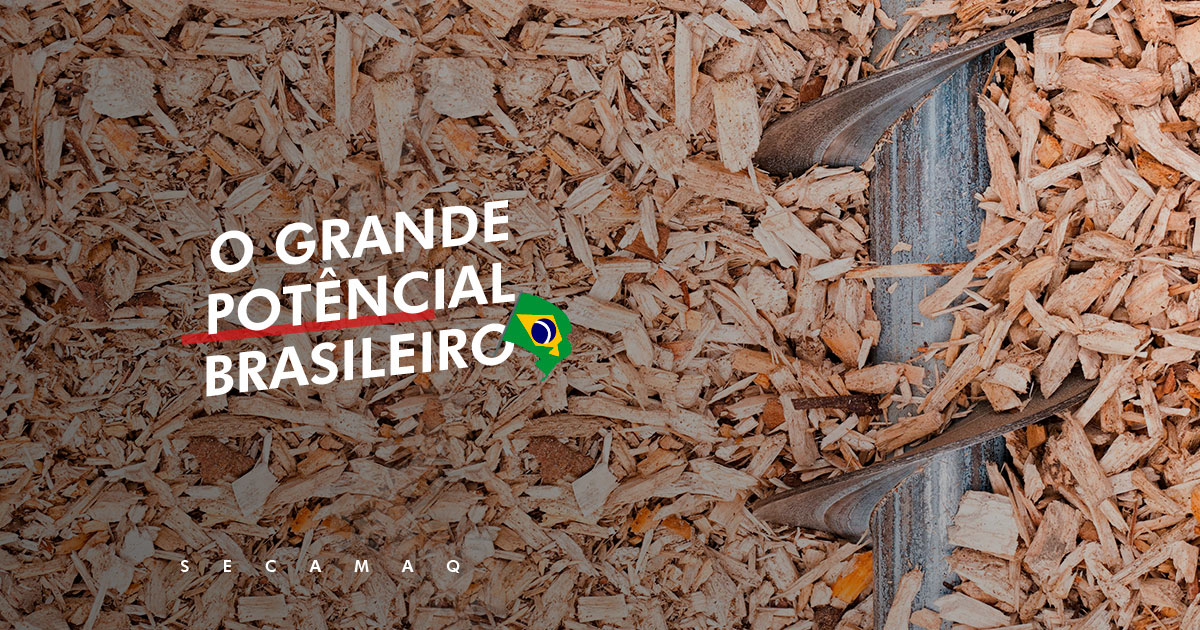 Read more about the article Produção de energia a partir de biomassa: um grande potencial brasileiro